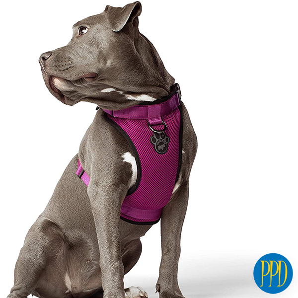 Custom dog safety harness.Custom dog harness. The perfect safety harness for pets. Customized logo or private label available. Promotional Product Direct.com