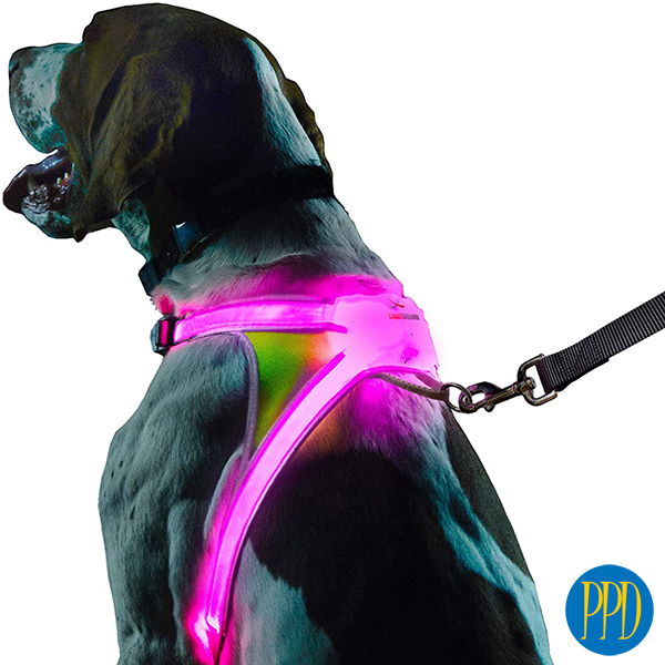 LED light up pet harnesses.Keep your pets safe with LED light up pet harnesses. Perfcet for brand identity for pet stores and pet products. Customized logo or private label available. Promotional Product Direct.