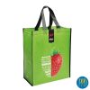 recycle-plastic-shopping-bag